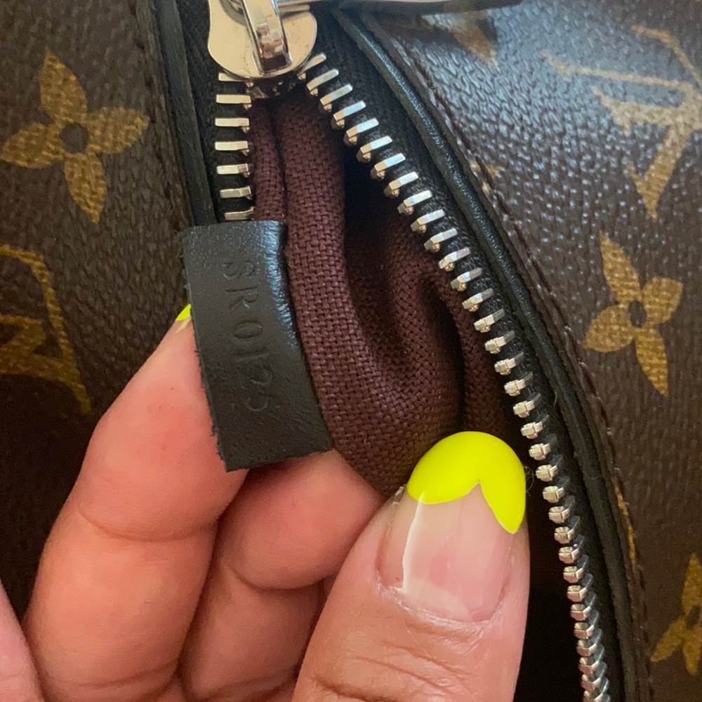 LV Backpack